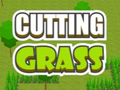 Spill Cutting Grass