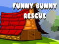 Spill Funny Bunny Rescue
