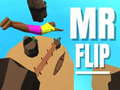 Spill Mr Flip