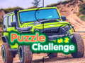 Spill Puzzle Challenge