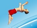 Spill Flip Divers