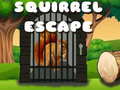 Spill Squirrel Escape