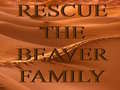 Spill Rescue The Beaver Family