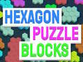 Spill Hexagon Puzzle Blocks