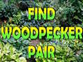 Spill Find Woodpecker Pair 