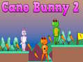 Spill Cano Bunny 2