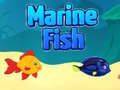 Spill Marine Fish
