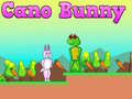 Spill Cano Bunny