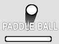 Spill PaddleBall