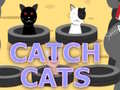 Spill Catch Cats