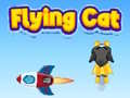 Spill Flying Cat