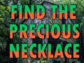 Spill Find The Precious Necklace