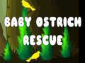 Spill Baby Ostrich Rescue