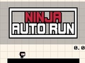 Spill Ninja Auto Run