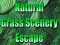 Spill Natural Grass Scenery Escape