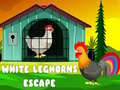 Spill White Leghorns Escape