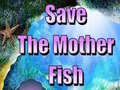 Spill Save The Mother Fish 