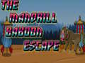 Spill The Mandrill Baboon Escape