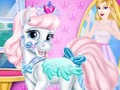 Spill Fashion Pet Salon