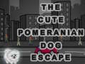 Spill Cute Pomeranian Dog Escape