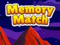 Spill Memory Match