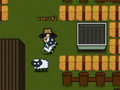 Spill Sheep13