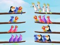 Spill Bird Sort Puzzle