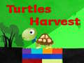Spill Turtles Harvest