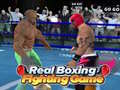 Spill Real Boxing Fighting Game