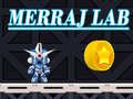 Spill Merraj Lab