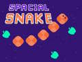 Spill Spacial Snake