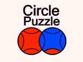 Spill Circle Puzzle