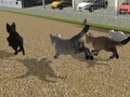 Spill Run Cat Cat Race
