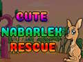 Spill Cute Nabarlek Rescue