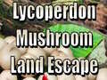 Spill Lycoperdon Mushroom Land Escape