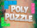 Spill Poly Puzzle