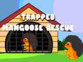 Spill Trapped Mangoose Rescue