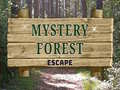 Spill Mystery Forest