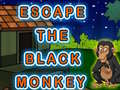 Spill Escape The Black Monkey