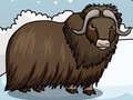 Spill Rescue The Musk Ox