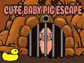 Spill Cute baby Pig escape