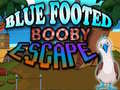 Spill Blue Footed Booby Escape