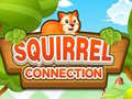Spill Squirrel Connection