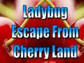 Spill Ladybug Escape From Cherry Land