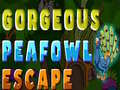 Spill Gorgeous Peafowl Escape