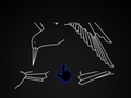 Spill Hidden Shapes Animals