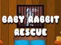Spill Baby Rabbit Rescue