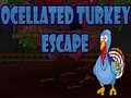 Spill Ocellated Turkey Escape