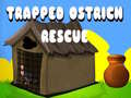 Spill Trapped Ostrich Rescue