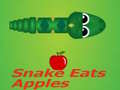 Spill Snake Eats Apple